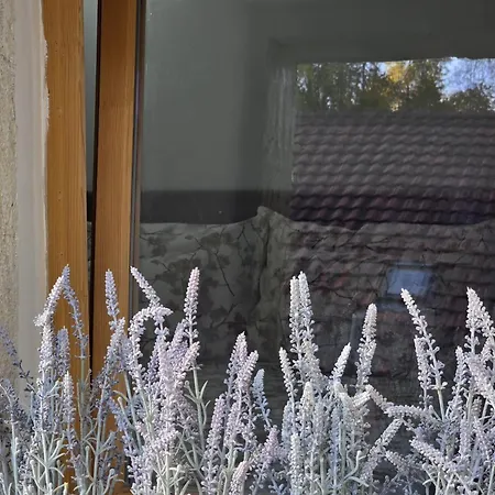 Apartment Babylone *